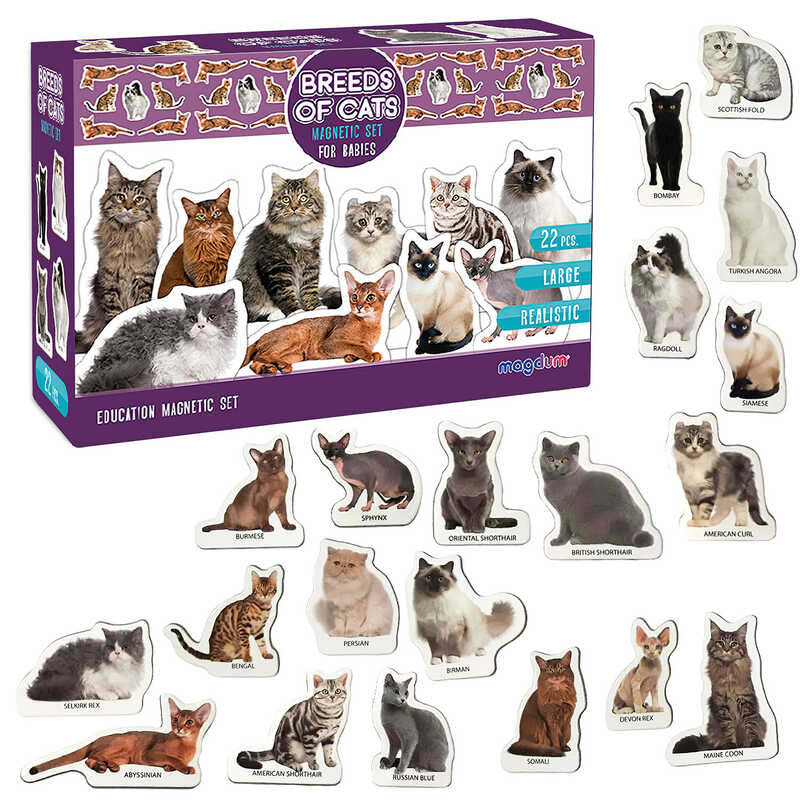 гр Набір магнітів “Породи котів” ML4031-13 EN (24) "Magdum", англ. мова, у коробці