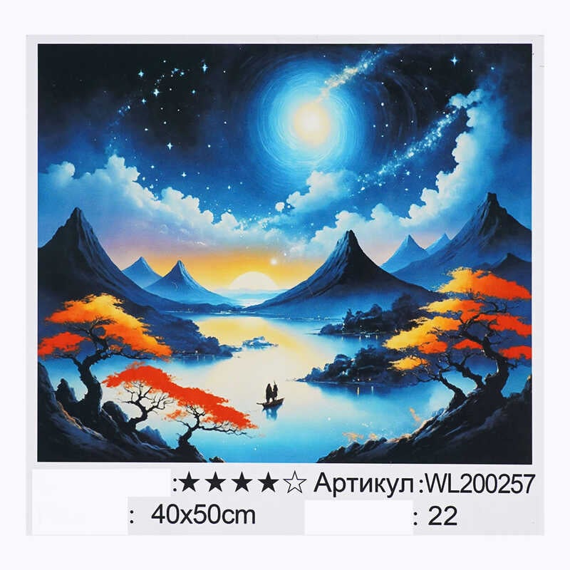 Картина за номерами WL 200257 (30) "WToys", 40х50 см, світиться у темряві, в коробці