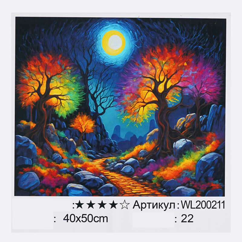Картина за номерами WL 200211 (30) "WToys", 40х50 см, світиться у темряві, в коробці