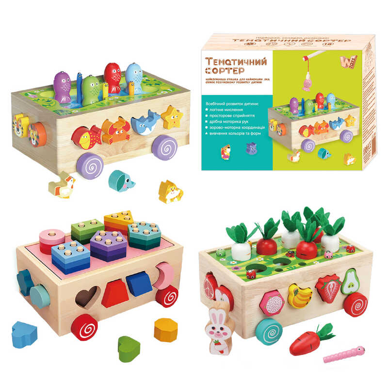 Каталка логічна 22995 (24) "WToys", в коробці