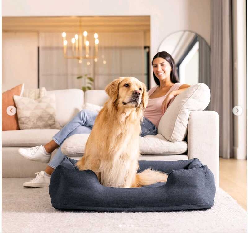 Intex Лежанка для домашніх тварин 48701 NP (1) Розмір:79/58/22 см