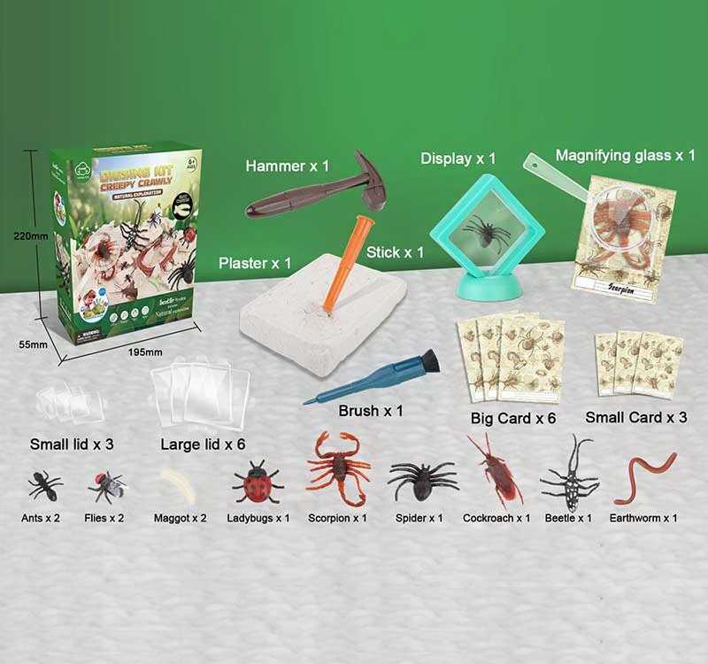 Розкопки G 504 (36) “Комахи”, гіпсовий блок, інструменти, лупа, картки, в коробці