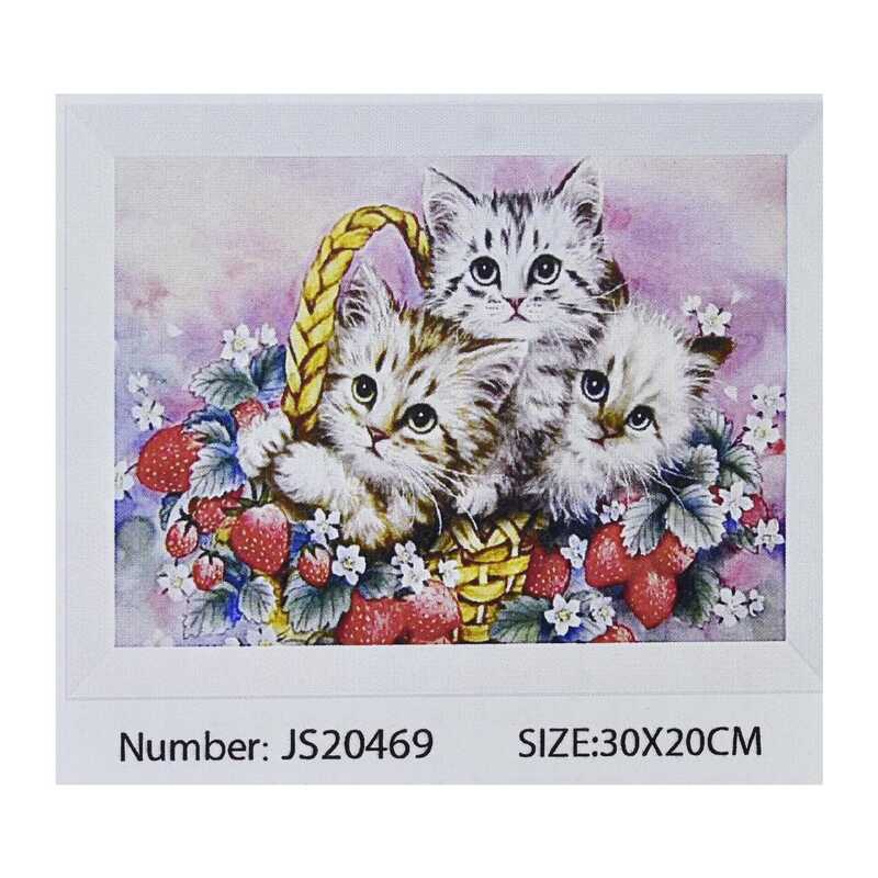 Алмазна мозаїка JS 20469 (50) "TK Group", в коробці, 30х20