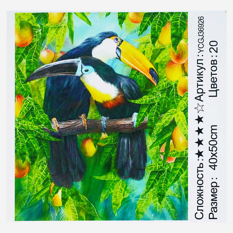 Картина за номерами YCGJ 36926 (30) "TK Group", 40х50 см, "Тукани", в коробці