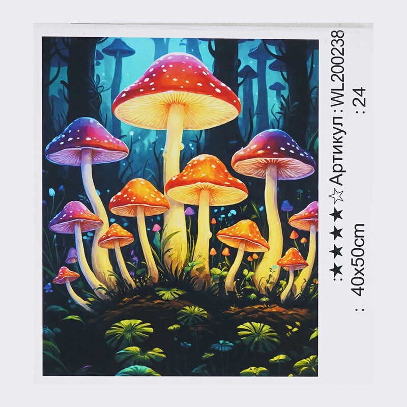 Картина за номерами WL 200238 (30) "WToys", 40х50 см, світиться у темряві, в коробці