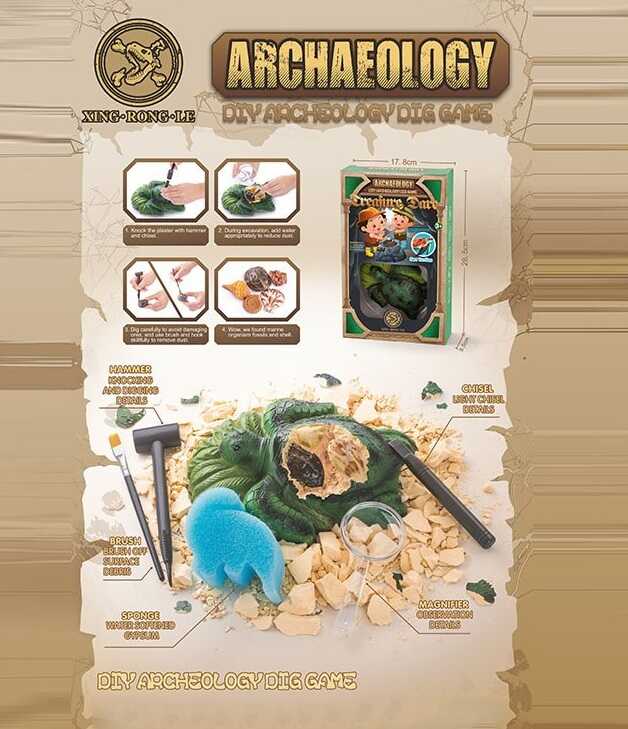 Розкопки 129-57 (48/2) гіпсовий блок, скам’янілості, черепашки, інструменти, в коробці