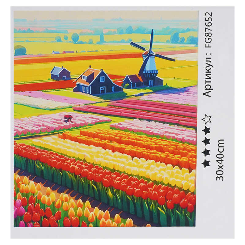 гр Картина за номерами FG 87652 (30) "4FUN Game Club", 30х40 см, в коробці