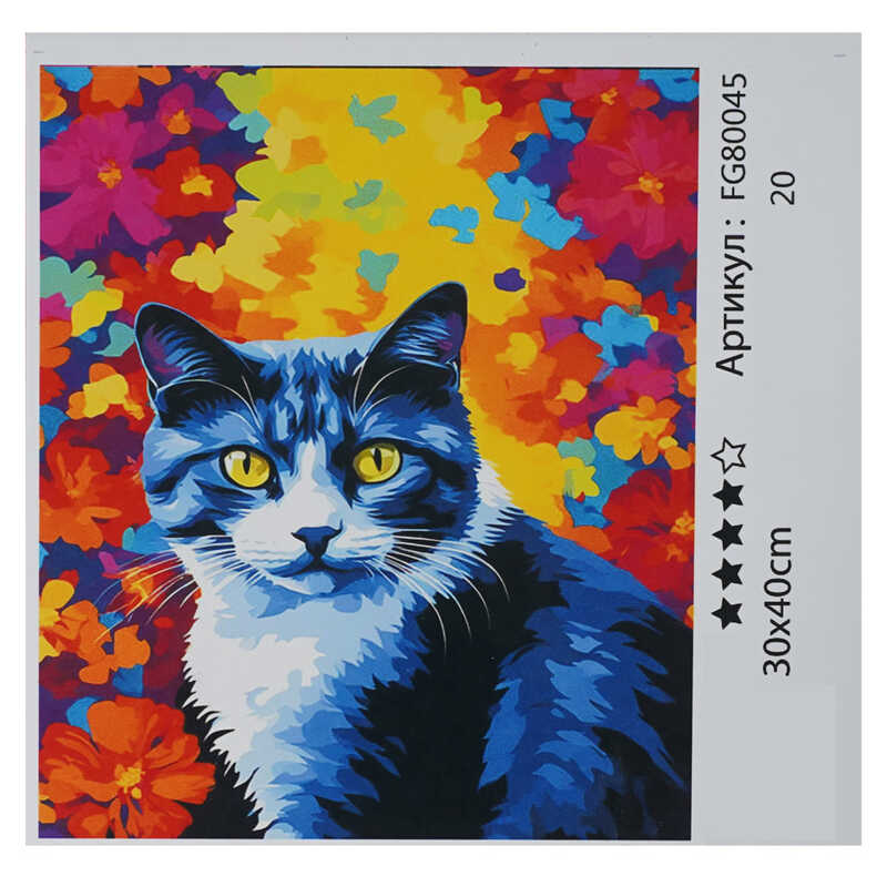 гр Картина за номерами FG 80045 (30) "4FUN Game Club", 30х40 см, в коробці