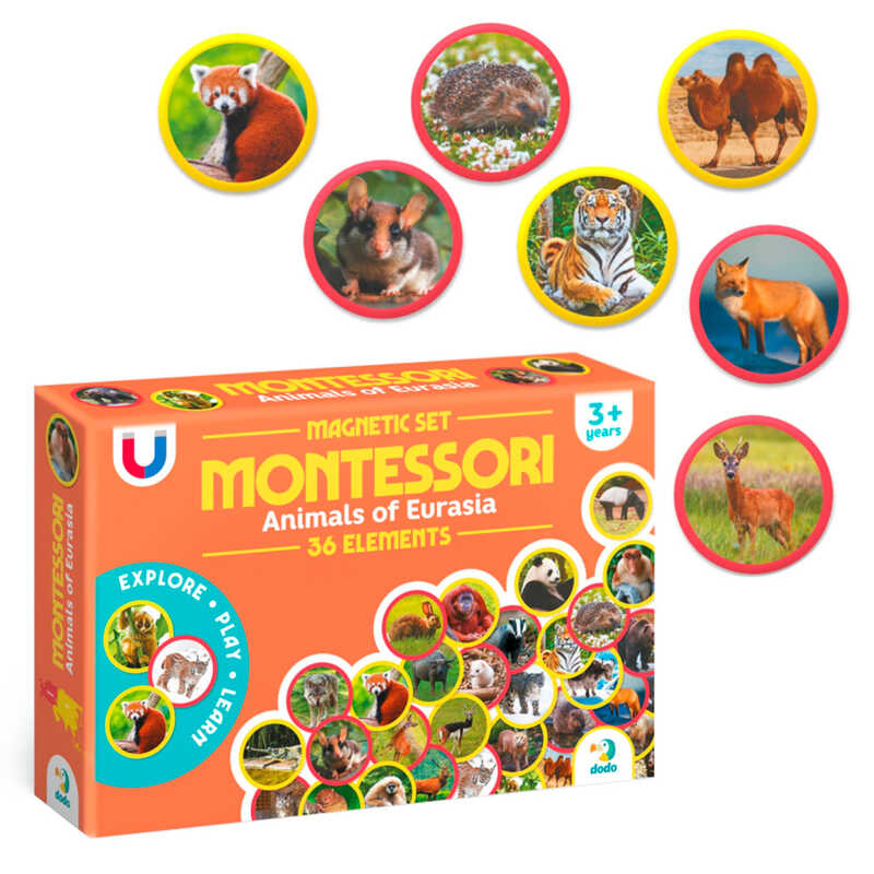 гр Магнітний набір Монтесорі «Тварини на континентах: Євразія» 200285  (32) "Dodo", 36 елементів, в коробці